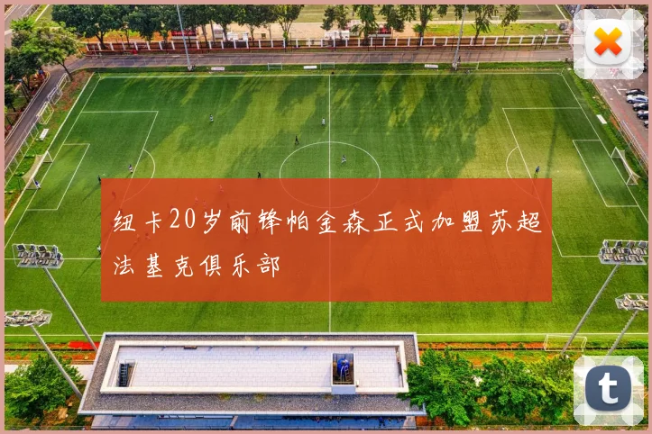 纽卡20岁前锋帕金森正式加盟苏超法基克俱乐部