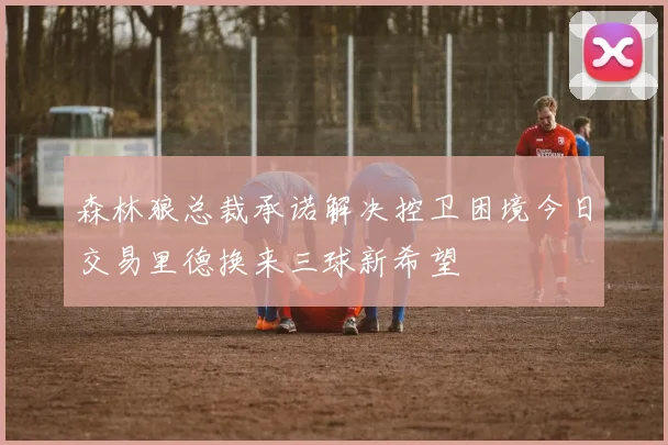 森林狼总裁承诺解决控卫困境今日交易里德换来三球新希望